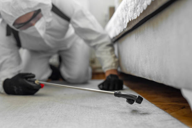 Professional Mosquito Control technician working in Oasis, CA