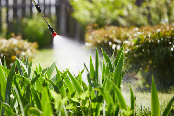 24/7 Emergency Mosquito Control experts in Oasis, CA