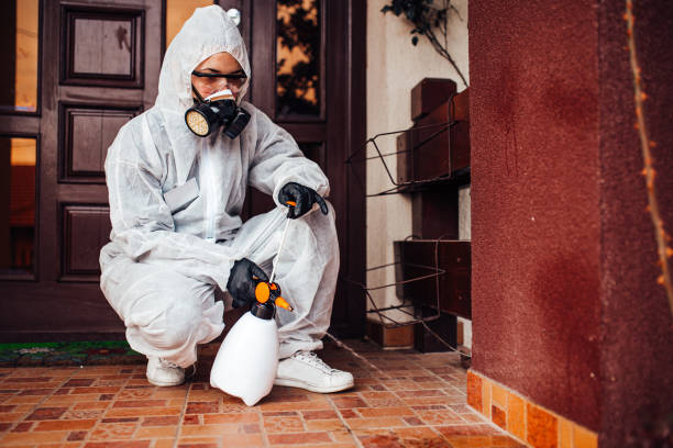 Reliable Mosquito Control contractor in Oasis, CA by Nex Pest Control